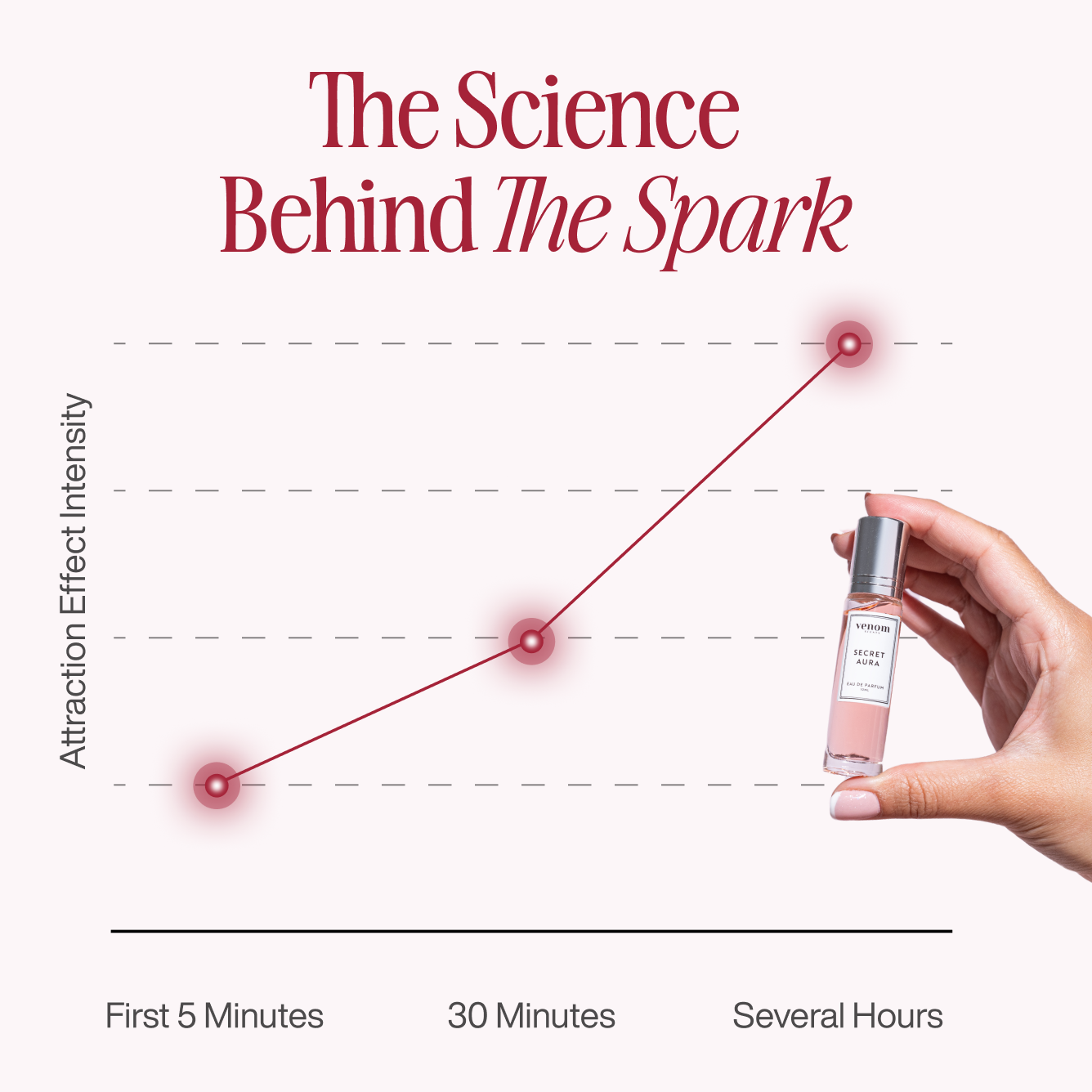 Timeless Elegance Bundle